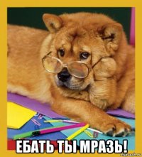  ебать ты мразь!