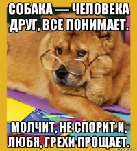 собака — человека друг, все понимает. молчит, не спорит и, любя, грехи прощает.