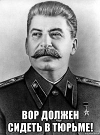  вор должен сидеть в тюрьме!