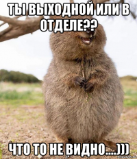 ты выходной или в отделе?? что то не видно....)))