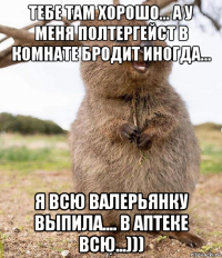 тебе там хорошо... а у меня полтергейст в комнате бродит иногда... я всю валерьянку выпила.... в аптеке всю...)))