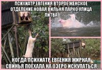 психиатр евгения второе женское отделение новая вильня парко улица литва когда психиатр евгения жирная свинья поехала на озеро искупаться