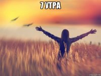 7 утра 