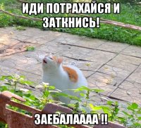иди потрахайся и заткнись! заебалаааа !!