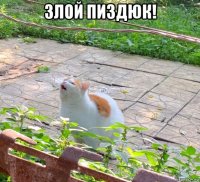 злой пиздюк! 