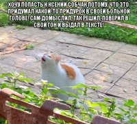 хочу попасть к ксении собчак потому, что это придумал какой-то придурок в своей больной голове! сам домыслил, так решил, поверил в свой гон и выдал в тексте! 