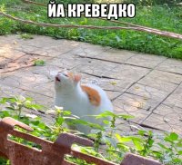 йа креведко 