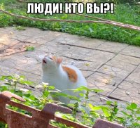 люди! кто вы?! 