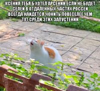 ксения тебя б хотел арсений если не будет селей в отдалённых частях россеи всегда найдётся чонить повеселее чем тут среди этих запустений 