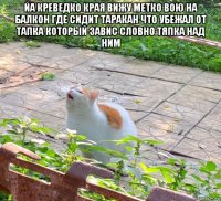 йа креведко края вижу метко вою на балкон где сидит таракан что убежал от тапка который завис словно тяпка над ним 