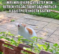 мяу мяу вчера дул ветер меж ветвей что заставил задуматься о быстротечности бытия 