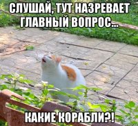 слушай, тут назревает главный вопрос... какие корабли?!