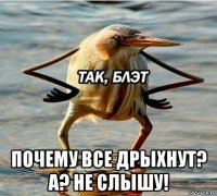  почему все дрыхнут? а? не слышу!