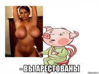  - вы арестованы
