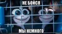 не бойся мы немного