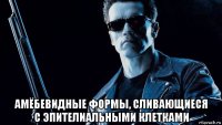  амёбевидные формы, сливающиеся с эпителиальными клетками