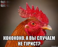  кокококо, а вы случаем не турист?