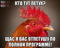 кто тут петух? щас я вас отпетушу по полной программе!