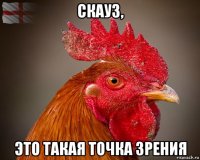 скауз, это такая точка зрения