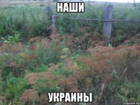 наши украины