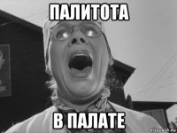 палитота в палате