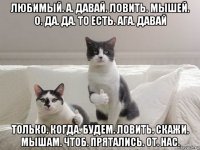 любимый. а. давай. ловить. мышей. о. да. да. то есть. ага. давай только. когда. будем. ловить. скажи. мышам. чтоб. прятались. от. нас.