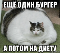 ещё один бургер а потом на диету
