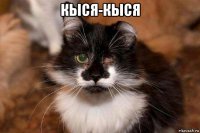 кыся-кыся 