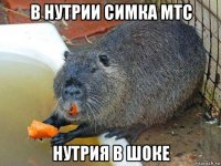 в нутрии симка мтс нутрия в шоке