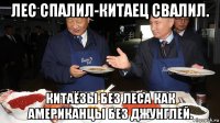 лес спалил-китаец свалил. китаёзы без леса как американцы без джунглей.