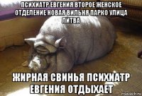 психиатр евгения второе женское отделение новая вильня парко улица литва жирная свинья психиатр евгения отдыхает