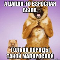 а цапля-то взрослая была, только породы такой малорослой