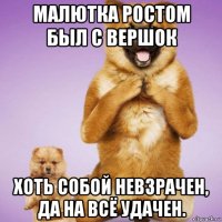 малютка ростом был с вершок хоть собой невзрачен, да на всё удачен.
