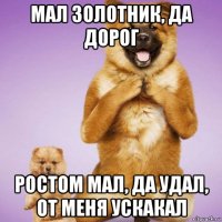 мал золотник, да дорог ростом мал, да удал, от меня ускакал