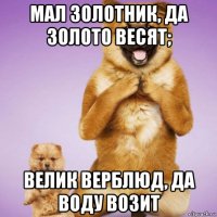 мал золотник, да золото весят; велик верблюд, да воду возит