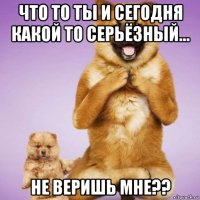 что то ты и сегодня какой то серьёзный... не веришь мне??