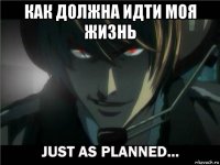 как должна идти моя жизнь 