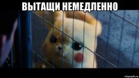 вытащи немедленно 