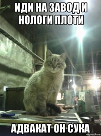 иди на завод и нологи плоти адвакат он сука