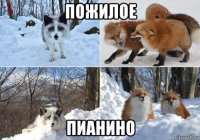 пожилое пианино
