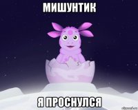 мишунтик я проснулся