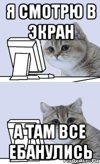 я смотрю в экран а там все ебанулись