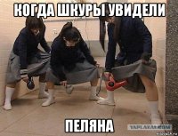 когда шкуры увидели пеляна