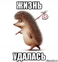 жизнь удалась