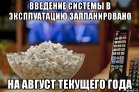 введение системы в эксплуатацию запланировано на август текущего года