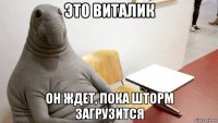 это виталик он ждет, пока шторм загрузится