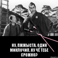 ну, пжжыста. один миклочип. ну чё тебе срожно?