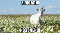 я люблю козочек!!!