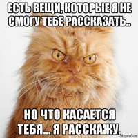 есть вещи, которые я не смогу тебе рассказать.. но что касается тебя... я расскажу.