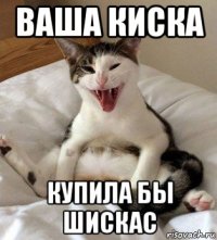 ваша киска купила бы шискас